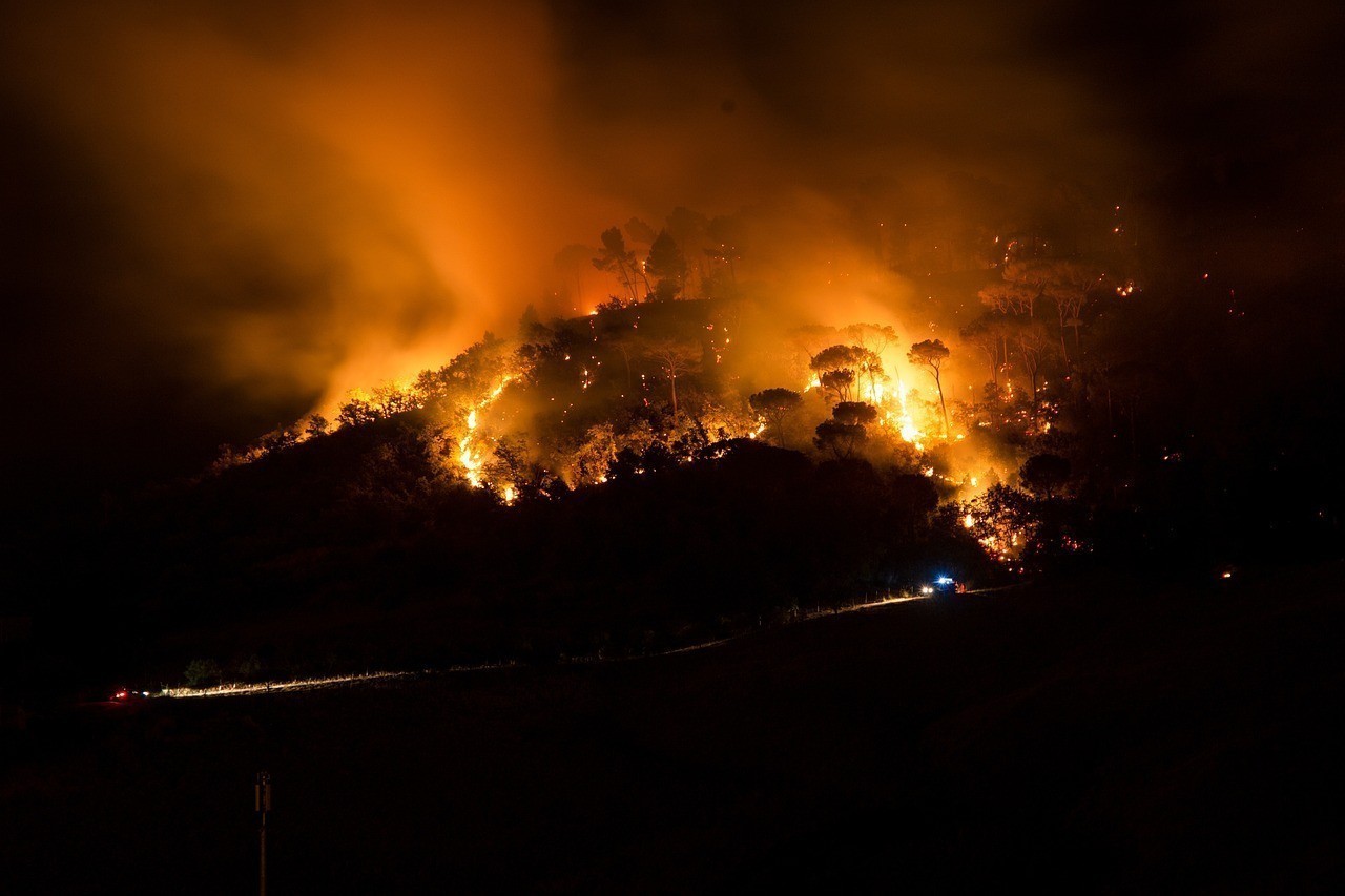 Palermo brucia per la terza giornata – Paura incendio doloso