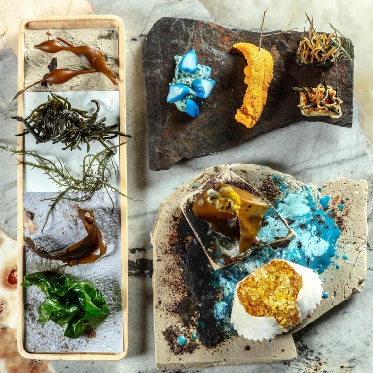 Το μενού του Νο1 εστιατορίου στον κόσμο – Τα 14 οικοσυστήματα του Περού και ένα πιάτο με φύλλα κόκας