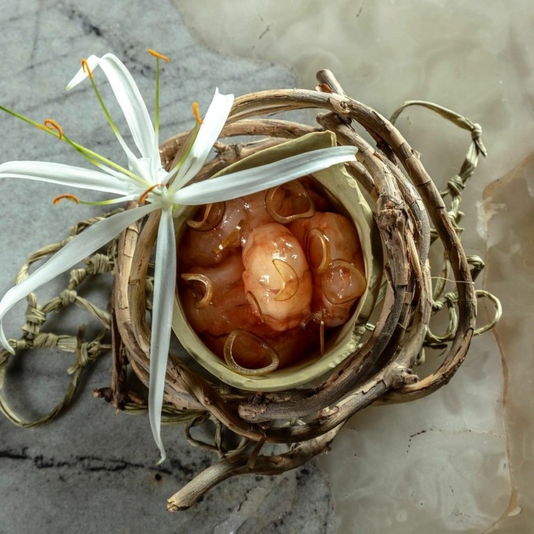 Το μενού του Νο1 εστιατορίου στον κόσμο – Τα 14 οικοσυστήματα του Περού και ένα πιάτο με φύλλα κόκας