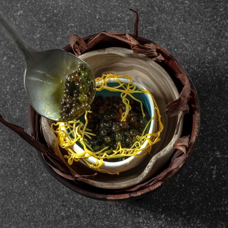 Το μενού του Νο1 εστιατορίου στον κόσμο – Τα 14 οικοσυστήματα του Περού και ένα πιάτο με φύλλα κόκας