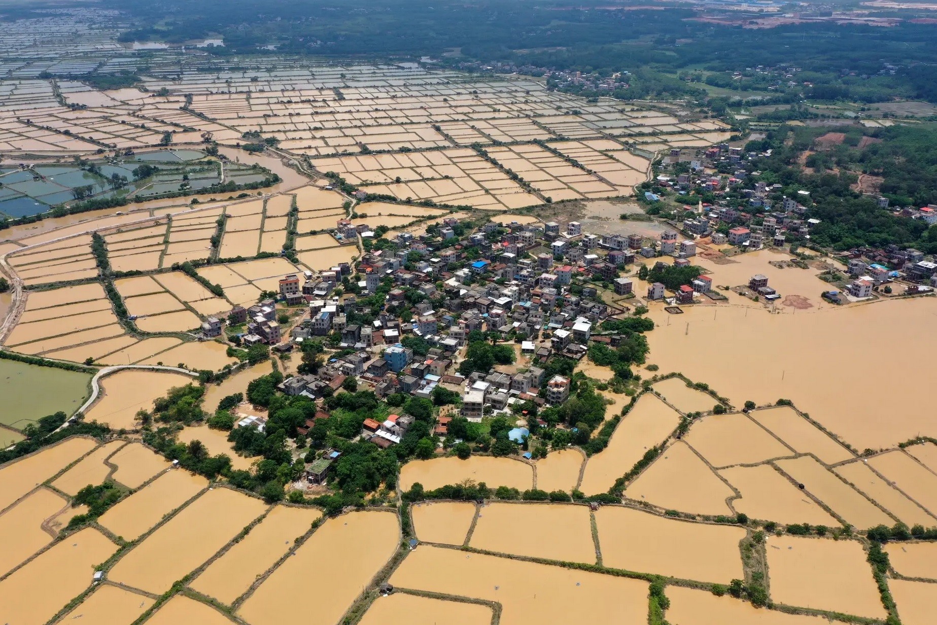 Κλιματική αλλαγή και πόλεμος: Διπλός εφιάλτης για την παγκόσμια αγορά τροφίμων (γράφημα)