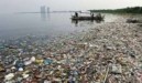 ΝΕΕ: Η συνεχής οικολογική καταστροφή επιφέρει δραματικές συνέπειες και στις θάλασσες