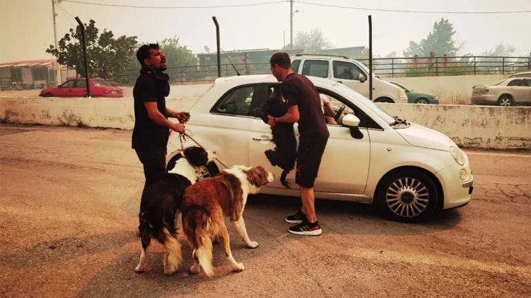Φωτιά στην Πάρνηθα: Με τα σκυλιά τους αγκαλιά, εκκενώνουν τα σπίτια τους στο Μενίδι (pics)