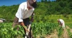 Kλιματική αλλαγή: Πώς βοηθά στην αντιμετώπισή της ο «Πράσινος Αγροτουρισμός»