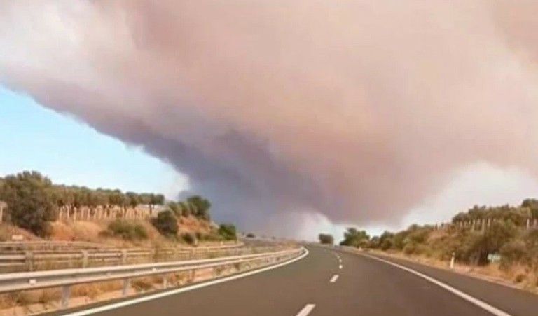 Μέχρι τη Μαγνησία ο καπνός από την μεγάλη πυρκαγιά στην Αλεξανδρούπολη