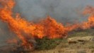 Φθιώτιδα: Μεγάλη πυρκαγιά στην περιοχή Γκάτζα του Δήμου Λοκρών