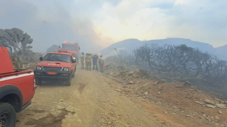 Φωτιά Άνδρος: Ενισχύονται οι πυροσβεστικές δυνάμεις – Κάηκε υδροφόρα