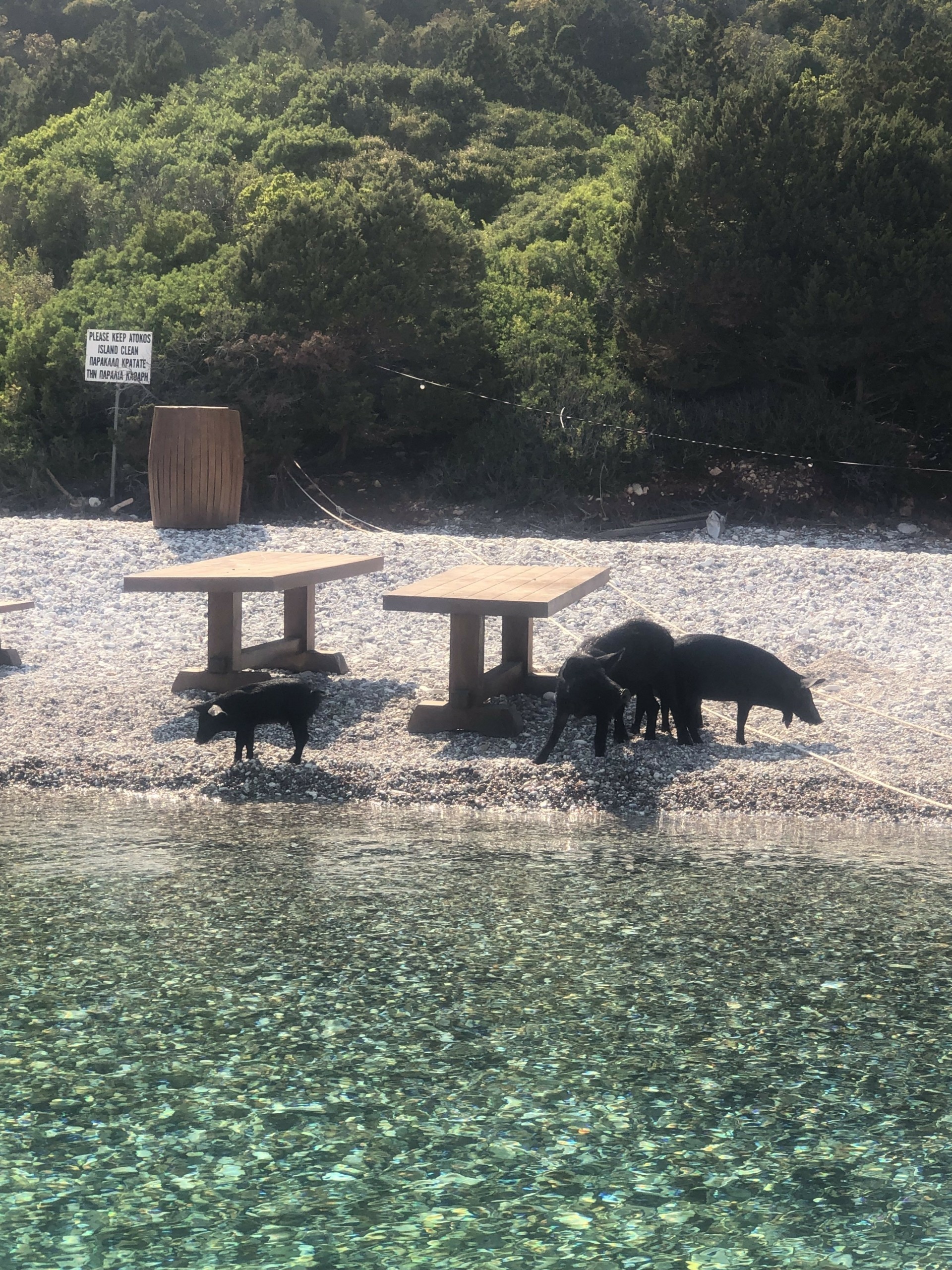 Το ιδιωτικό νησί του εφοπλιστή Τσάκου στο Ιόνιο που είναι ο παράδεισος των γιοτ