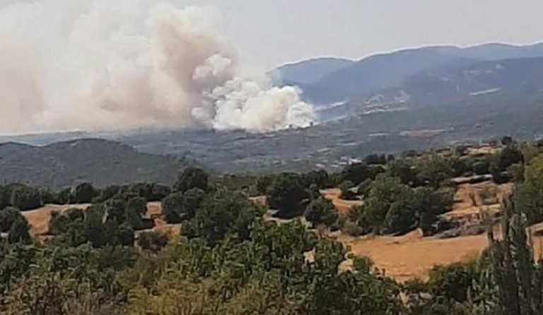 Σε πολύ υψηλό κίνδυνο πυρκαγιάς την Παρασκευή 25/8 Αττική, Βοιωτία και Εύβοια (χάρτης)