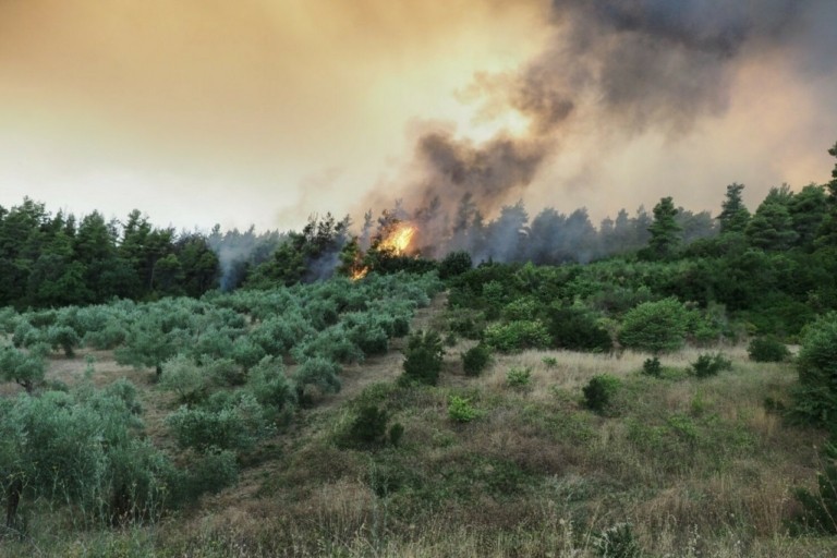 ΕΛΓΑ: Πληρωμές 16 εκατ. ευρώ σε όσους υπέστησαν ζημιές από τις φωτιές το 2023