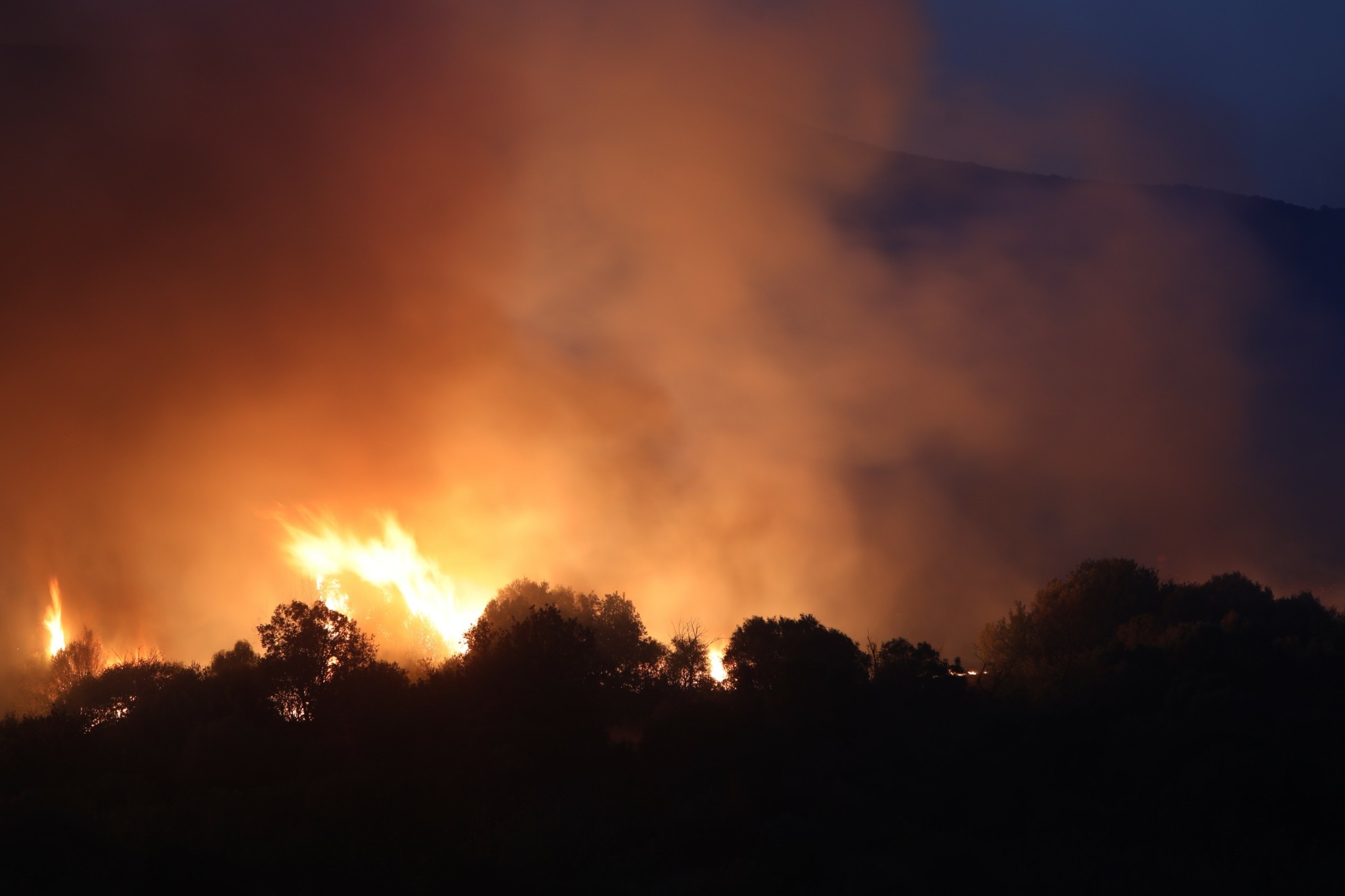 Φωτιά: Δύσκολη νύχτα στα πύρινα μέτωπα – Μάχη με τις φλόγες σε Εύβοια, Βοιωτία, Έβρο, Καβάλα (vids) (upd)