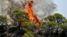 Πυρκαγιές: Χωρίς ενεργό μέτωπο η φωτιά στον Όλυμπο, οριοθετήθηκε στη Ροδόπη – Υψηλός κίνδυνος από σήμερα