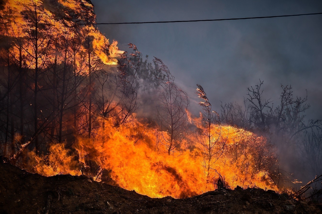 Κομισιόν: Η πιο καταστροφική φωτιά σε όλη την Ευρώπη ήταν στον Έβρο