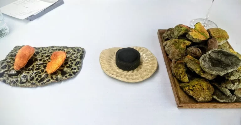 Το μενού του Νο1 εστιατορίου στον κόσμο – Τα 14 οικοσυστήματα του Περού και ένα πιάτο με φύλλα κόκας