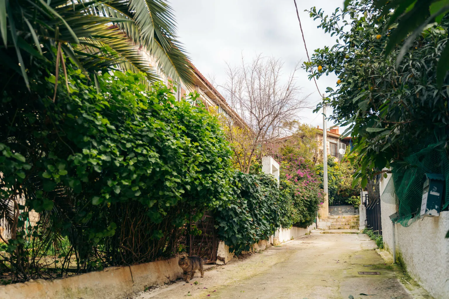 Πετράλωνα: Πώς μια ήσυχη, λαϊκή γειτονιά της Αθήνας μεταμορφώθηκε σε ψαγμένο προορισμό