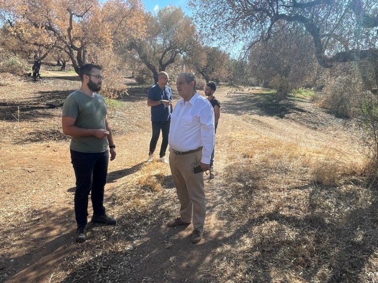 Αγρότες Έβρου: Σύσκεψη υπ. Αγροτικής Ανάπτυξης και ΕΛΓΟ Δήμητρα για τα μέτρα στήριξης