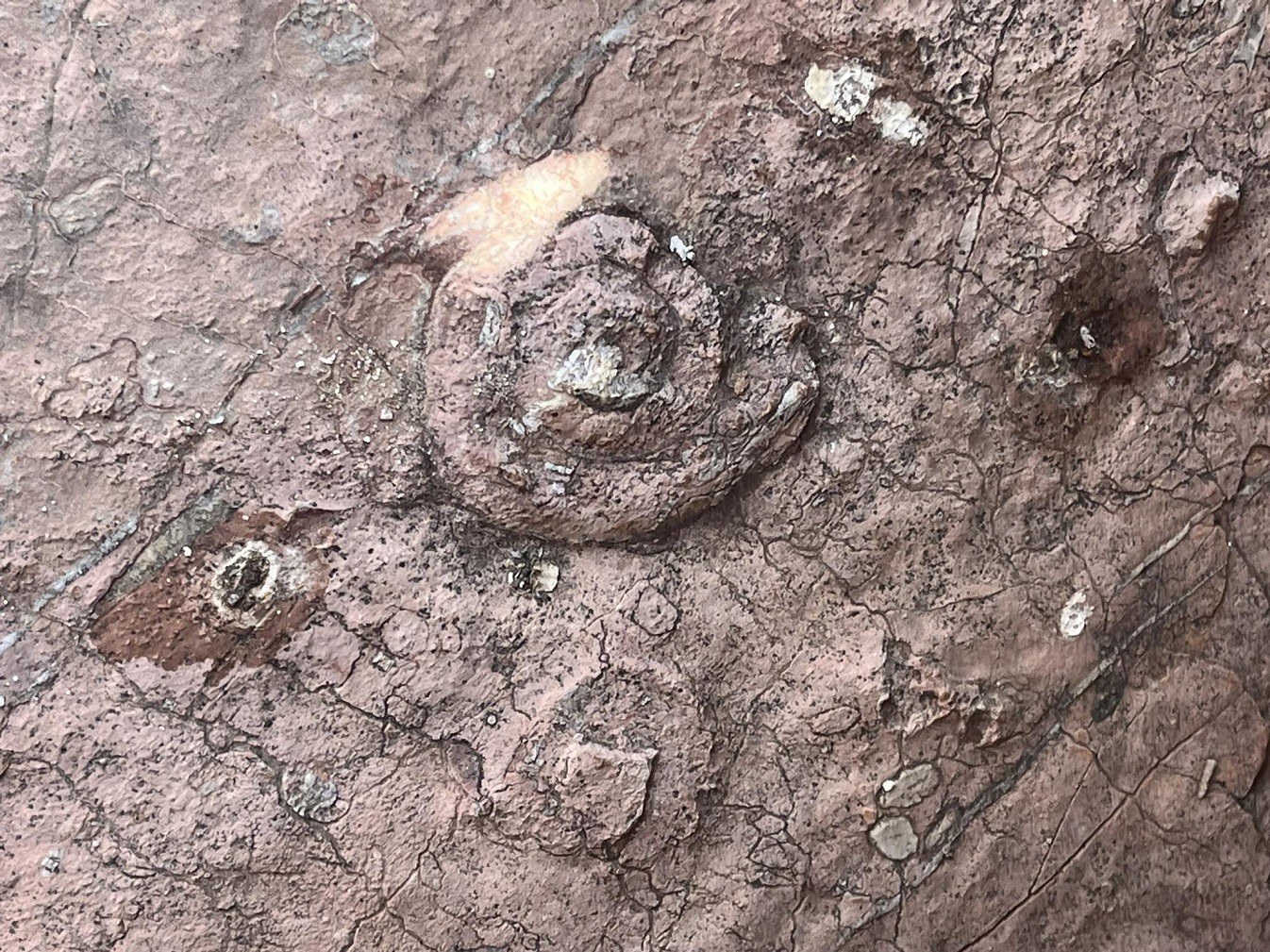 Χίος: Επιχειρεί να γίνει ένα ανοιχτό γεωπάρκο ενταγμένο στο δίκτυο της UNESCO