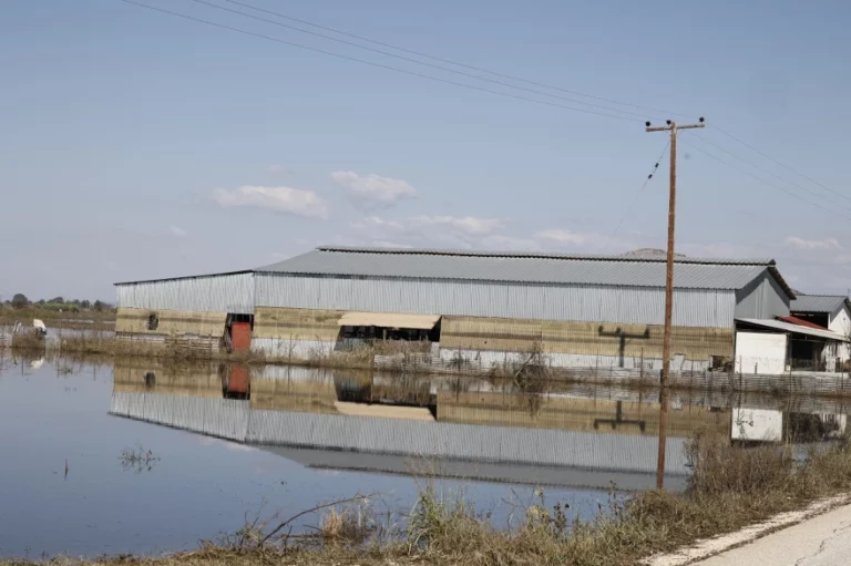 Πλημμυροπαθείς: Νέα ρύθμιση για οφειλές μέσω myAADE