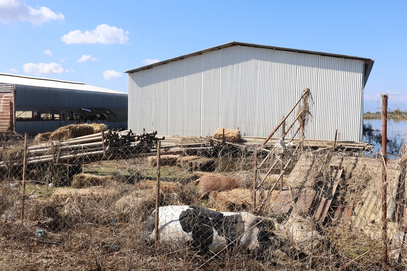 Σύλλογοι εργαζομένων ΕΦΚΑ: Οικονομική ενίσχυση στους πλημμυροπαθείς της Θεσσαλίας
