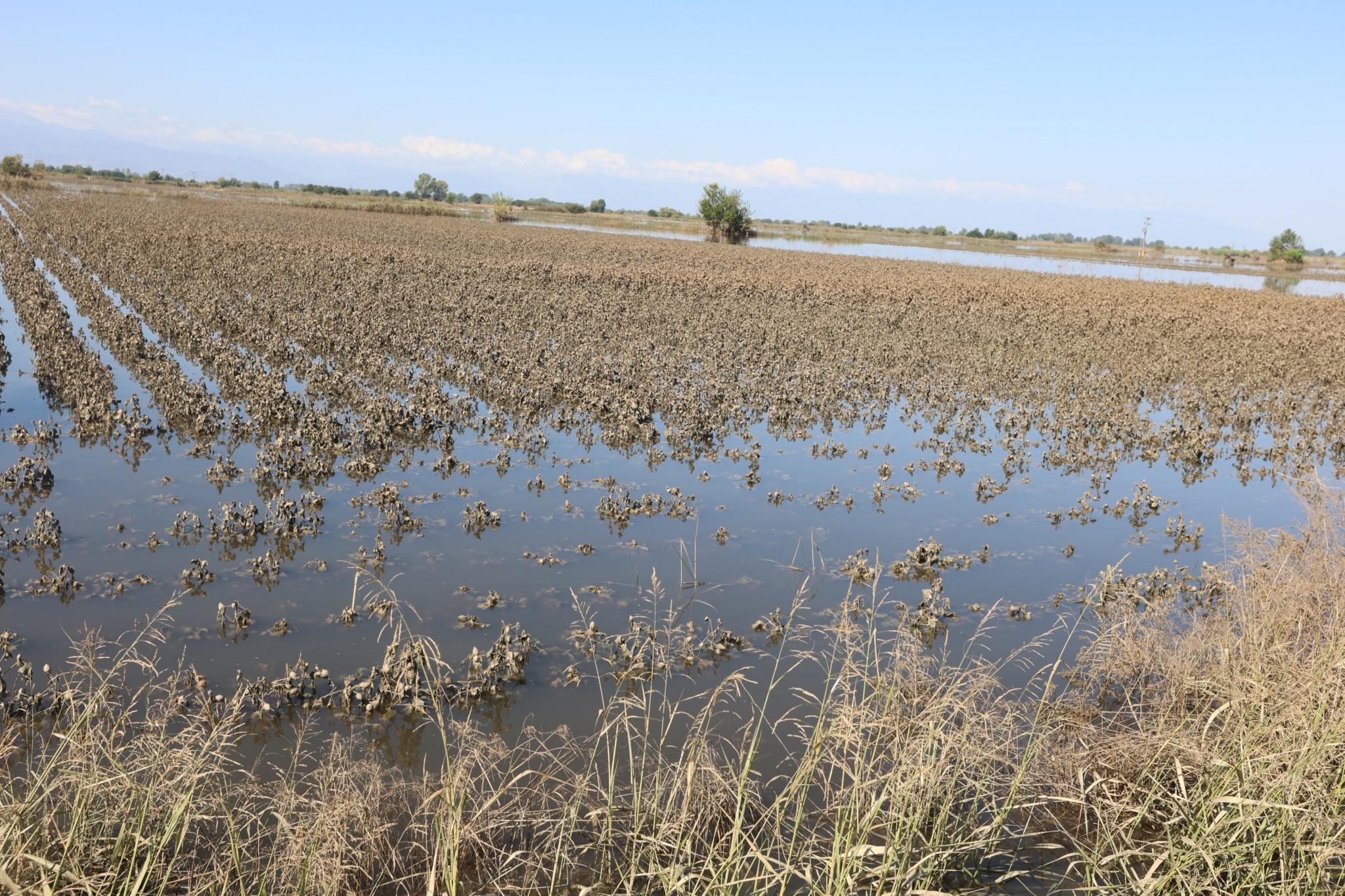 Το ολλανδικό σχέδιο για τη «θωράκιση» του θεσσαλικού κάμπου – Τι περιλαμβάνει