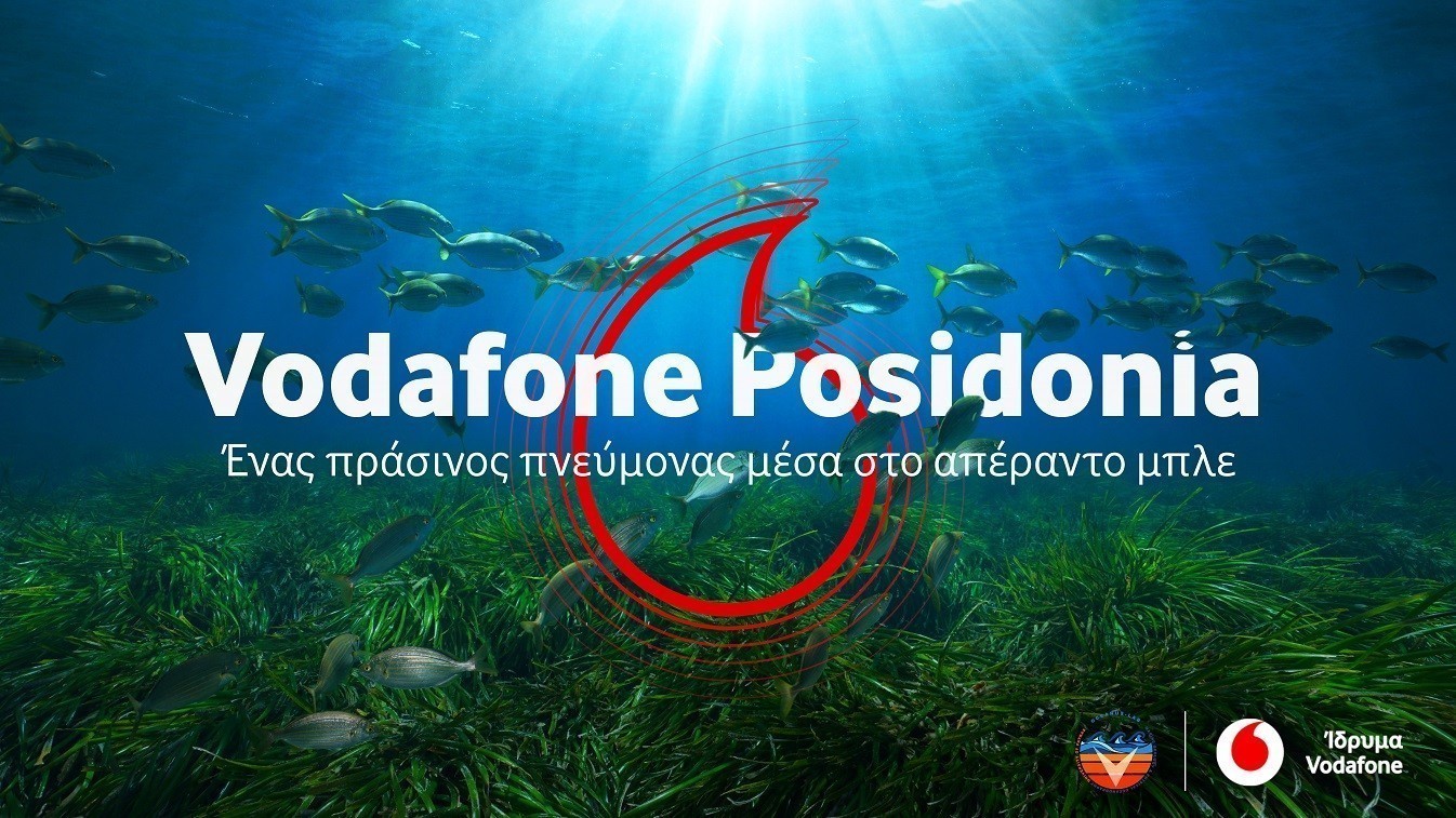 Un nouveau projet environnemental visant à cartographier Poseidonia dans les mers grecques est lancé (Images)