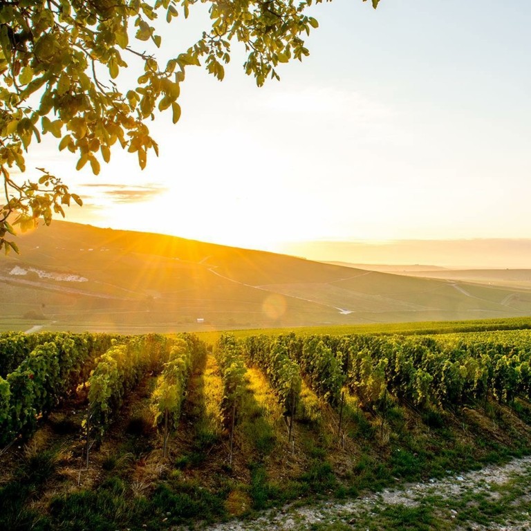 Δοκιμάζουμε 5 σπουδαίες σαμπάνιες Louis Roederer – Ανάμεσά τους η εμβληματική Cristal