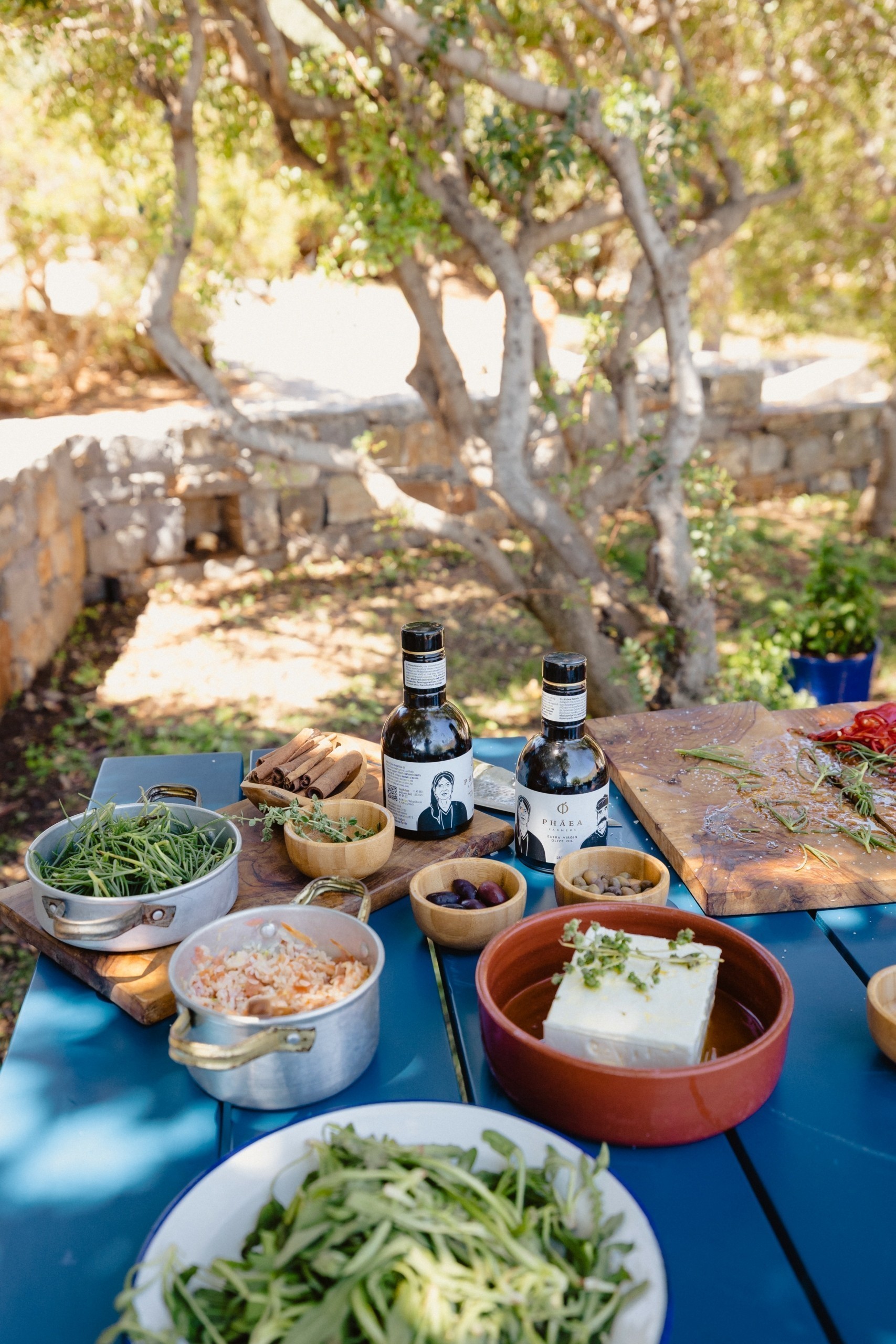 Οι οργανικοί κήποι της Phāea στην Κρήτη: Μια εμπειρία case-study βιωσιμότητας