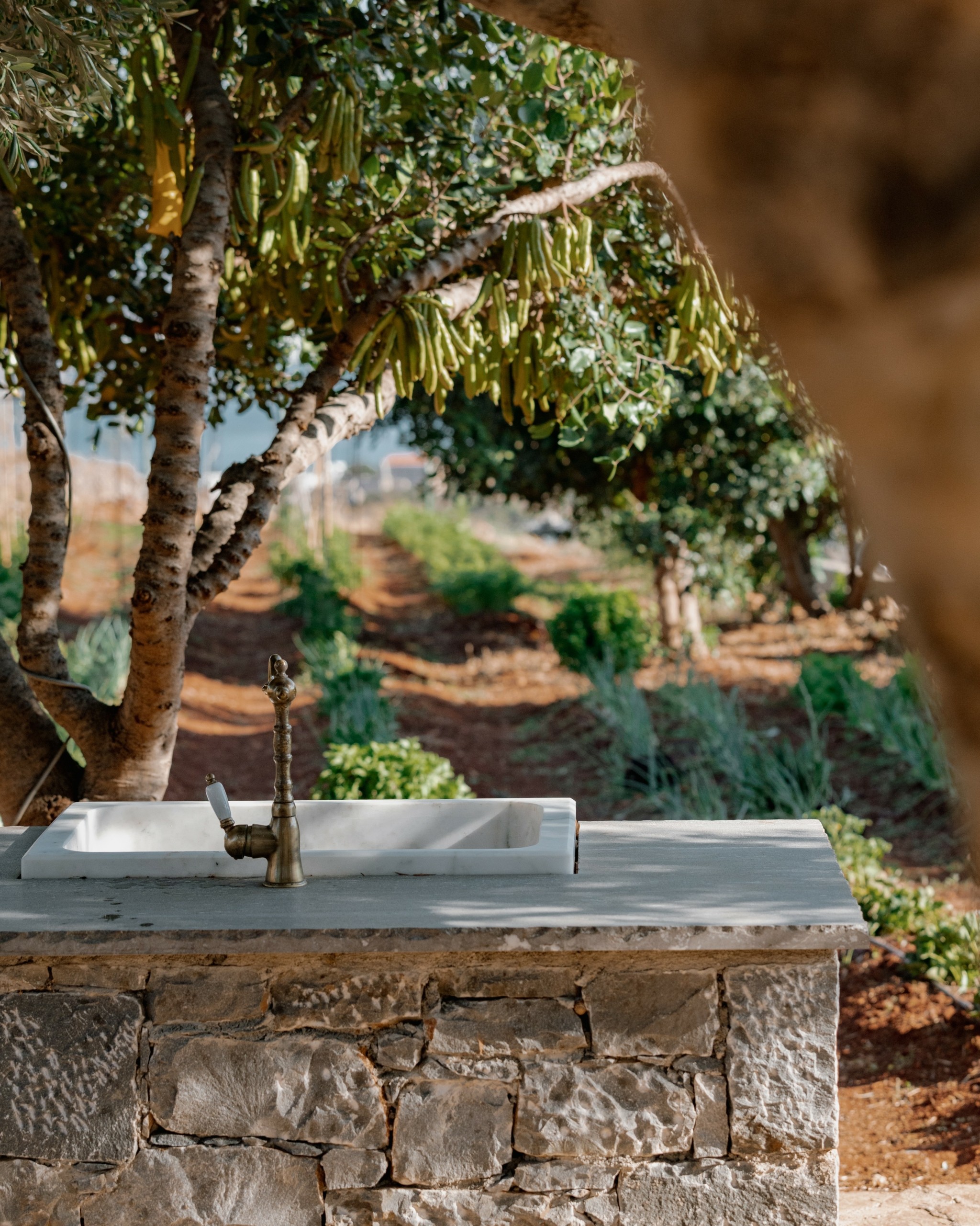 Οι οργανικοί κήποι της Phāea στην Κρήτη: Μια εμπειρία case-study βιωσιμότητας