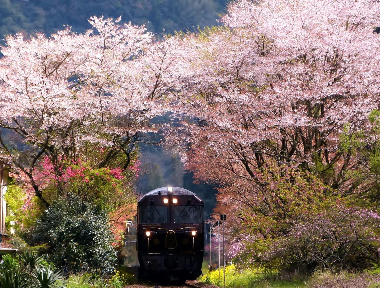 Το No1 ταξίδι με τρένο για τρίτη συνεχόμενη χρονιά στο Traveler – To αριστούργημα Seven Stars στην Ιαπωνία