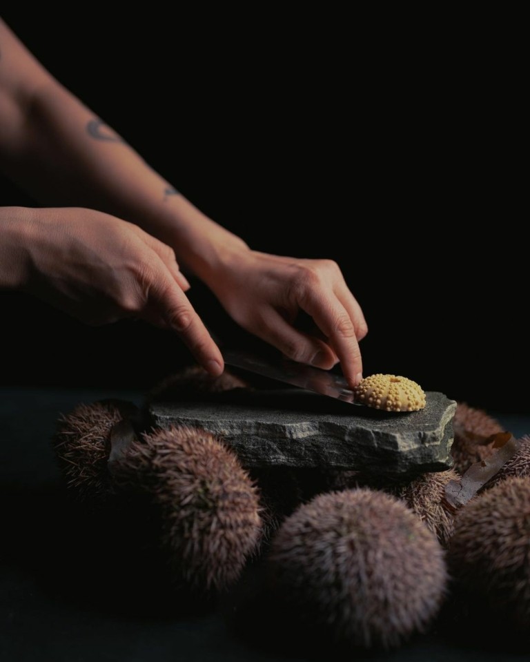 “Το μάτι του σολωμού”: H εντυπωσιακή εμπειρία στην επιβλητική πλωτή κατασκευή στα φιορδ της Νορβηγίας