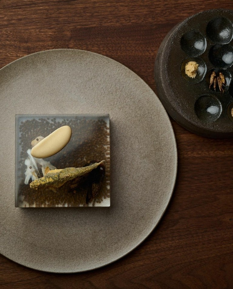 “Το μάτι του σολωμού”: H εντυπωσιακή εμπειρία στην επιβλητική πλωτή κατασκευή στα φιορδ της Νορβηγίας