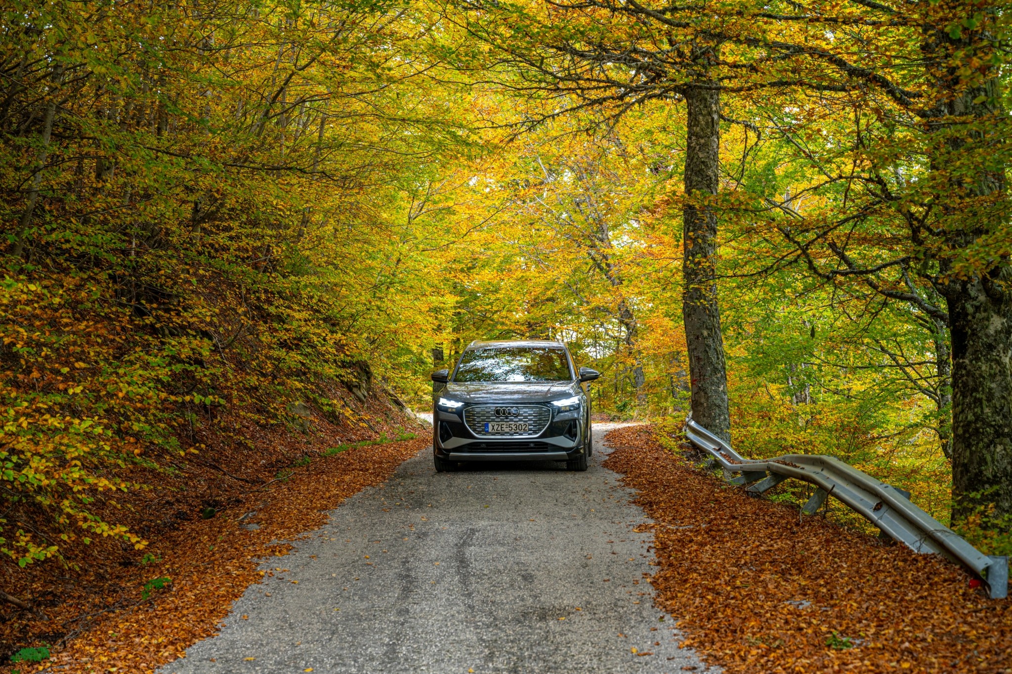 Μέτσοβο-Χαλίκι: Περιπέτεια στην Πίνδο με ηλεκτρικό αυτοκίνητο