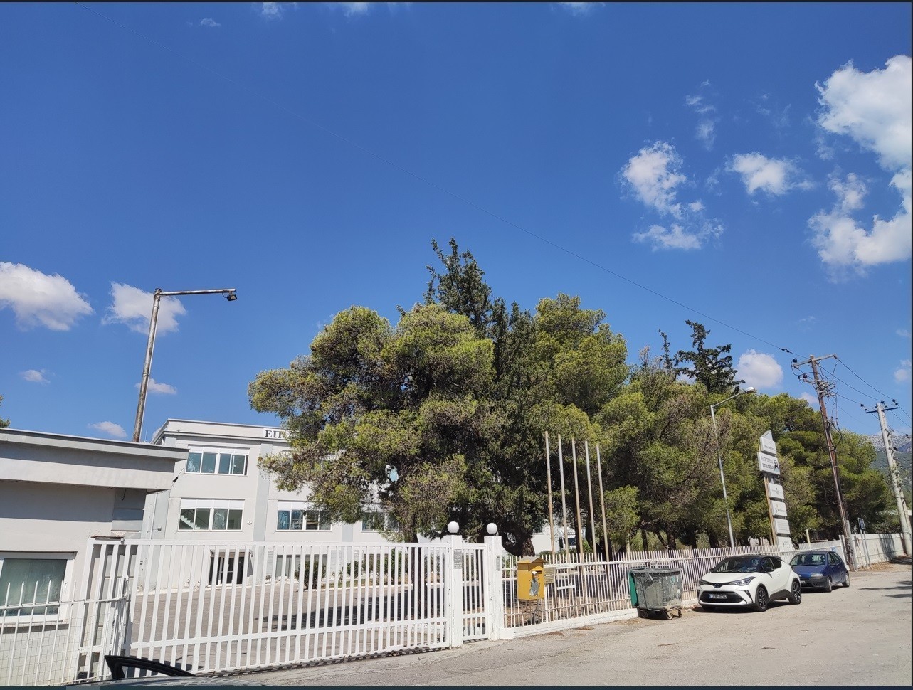 «Κλωστήρια-Πλεκτήρια Αθηνών»: Σε νέο πλειστηριασμό με τιμή… «ασανσέρ» (pics)