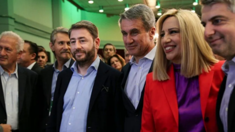 Ανδρουλάκης για τα δύο χρόνια από τον θάνατο της Γεννηματά: Θα τη θυμόμαστε πάντα με ευγνωμοσύνη και αγάπη