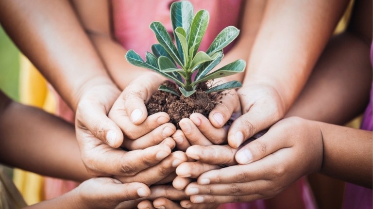 efood: Άμεση βοήθεια στις πυρόπληκτες περιοχές