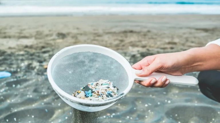 Από τα ρούχα στο αίμα: Πώς τα μικροπλαστικά απειλούν το σώμα και το μυαλό μας