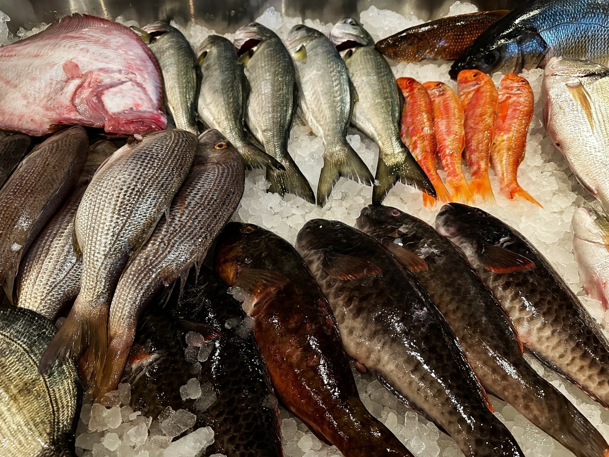 Eλληνικά ψάρια: Πώς ο πληθωρισμός έριξε «δίχτυα» στις εξαγωγές