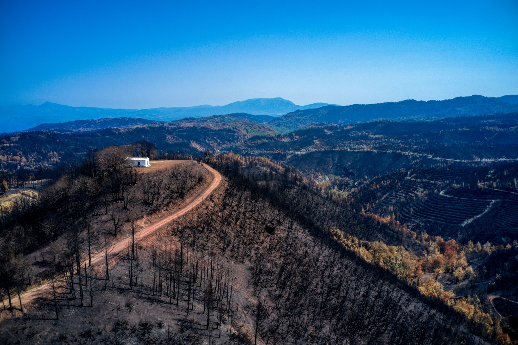 ΚΕΠΕ για Βόρεια Εύβοια: Πώς θα προστατευτεί το δάσος – Παραγωγή ενέργειας από ξυλώδη βιομάζα
