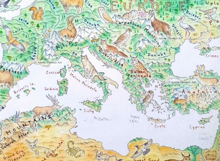 Ζωγραφίζοντας στο χέρι έναν παγκόσμιο χάρτη άγριας φύσης