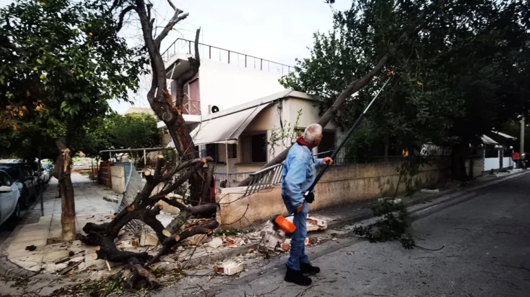 Κακοκαιρία Bettina: Περισσότερες από 50 κλήσεις στην Πυροσβεστική για δέντρα (vid)