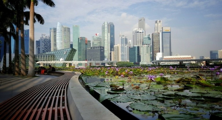 Σιγκαπούρη: Λαχανικά από τον 51ο όροφο ουρανοξύστη