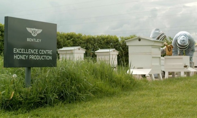Bentley: Οχι μόνο αυτοκίνητα αλλά και… μέλι (pics + tweet)