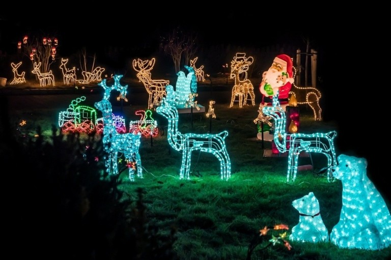Τα χριστουγεννιάτικα φωτάκια απειλούν την άγρια φύση