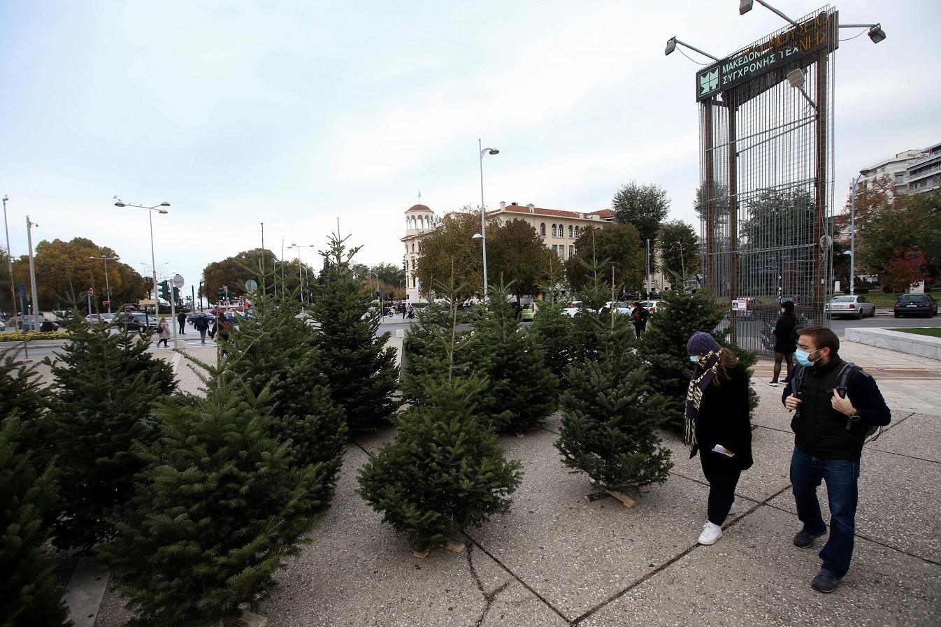 Χριστουγεννιάτικα δέντρα: Η κρίση έχει χτυπήσει και την αγορά στα έλατα (vids)
