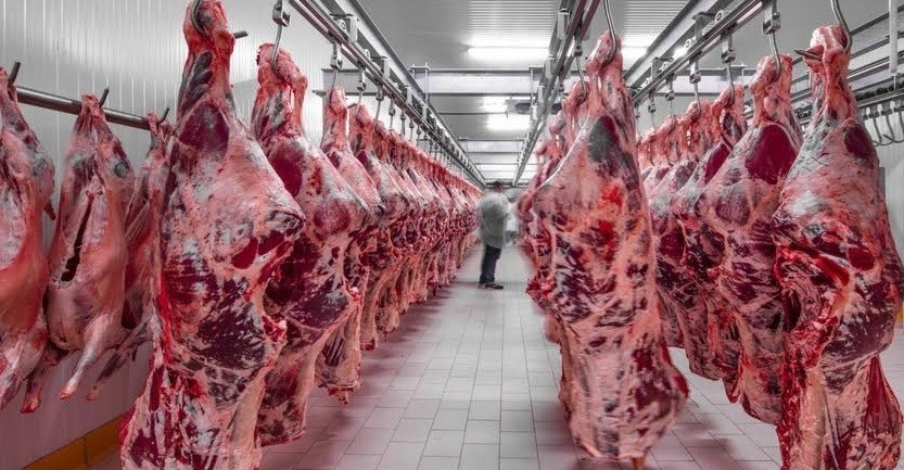 Ακρίβεια: Οι τιμές στο κρέας σημείωσαν 38,3 % άνοδο μέσα σε τέσσερα χρόνια | Ειδήσεις για την Οικονομία