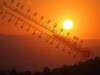 Copernicus: Νέο ρεκόρ υψηλών θερμοκρασιών τον Νοέμβριο – Το 2023 θα είναι «η πιο θερμή» χρονιά στην ιστορία