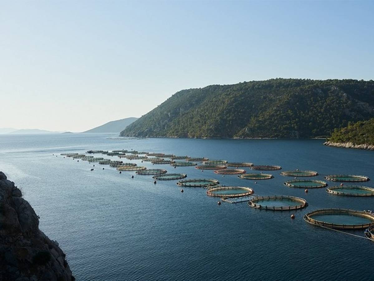 Avramar: Με πτώση πωλήσεων και ζημιές 48 εκατ. ευρώ το 2024 | Ειδήσεις για την Οικονομία