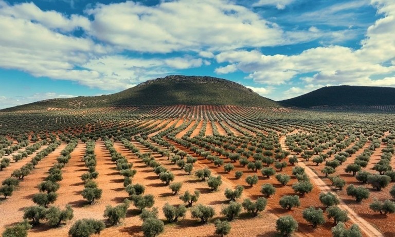 Ford: Κατασκευάζει εξαρτήματα από ελαιόδεντρα (vid)