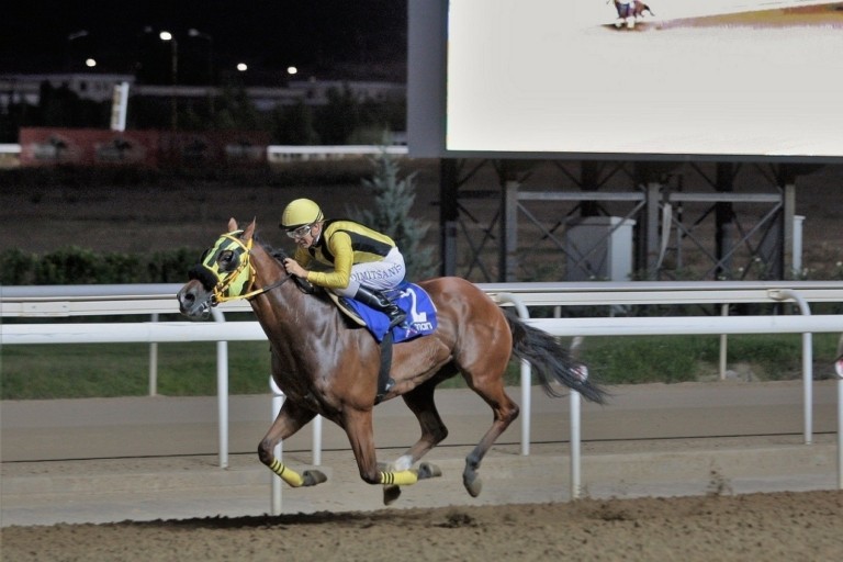 Ιπποδρομίες Α.Ε.: Εξελίξεις σχετικά με τη διοργάνωση και διεξαγωγή ελληνικών ιπποδρομιών
