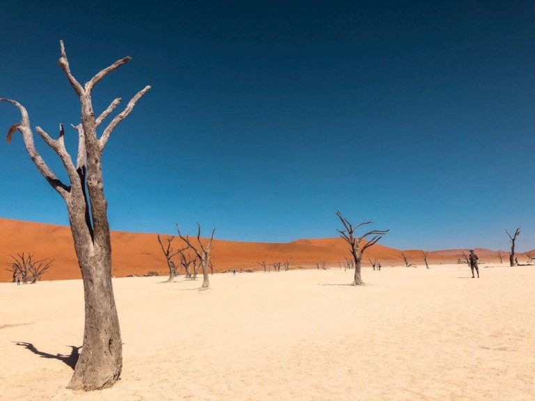 Η Αφρική το μεγαλύτερο θύμα της κλιματικής αλλαγής